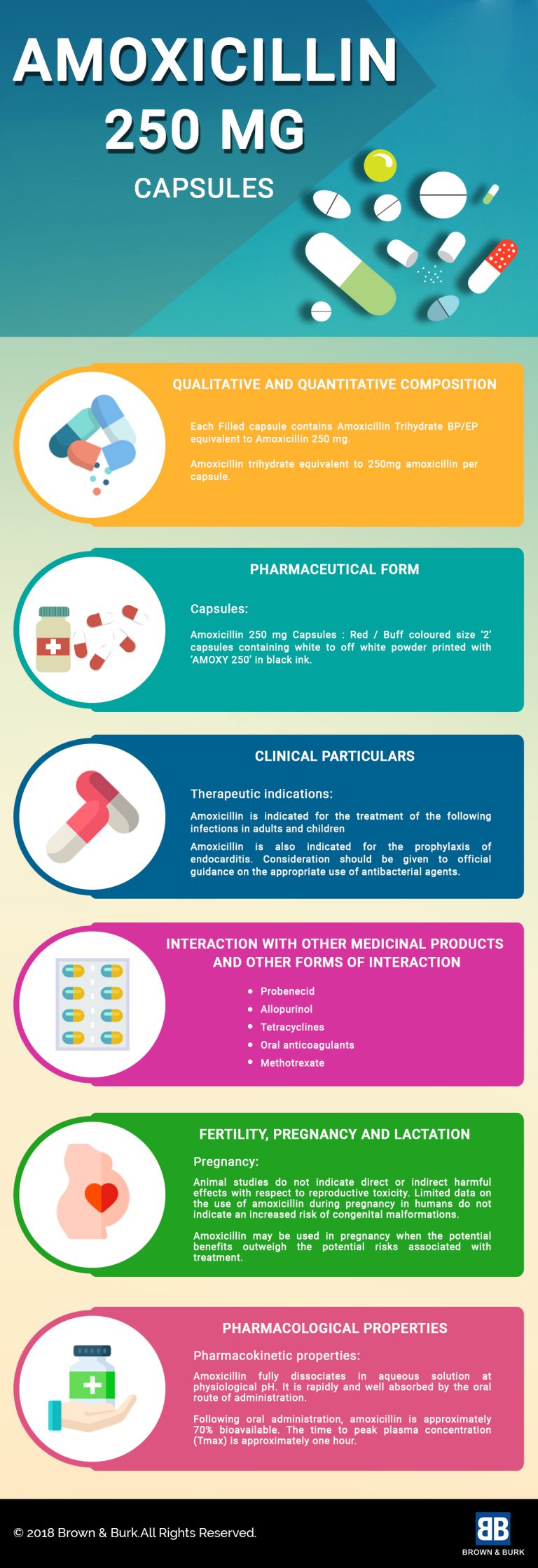 Amoxicillin 250 MG Brown Burk   Amoxicillin 250 Mg Capsules 768x2240 